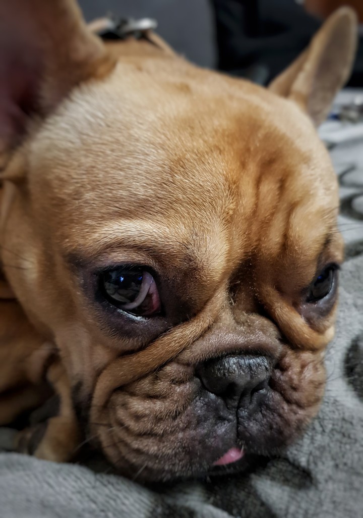 Carla wants to sleep