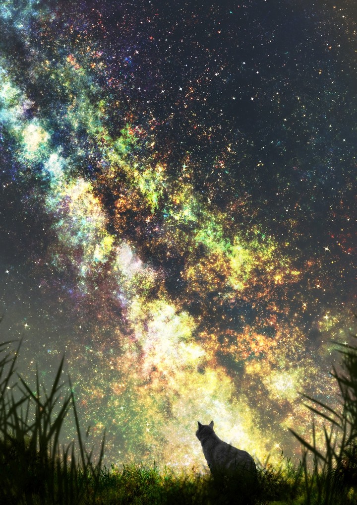 night