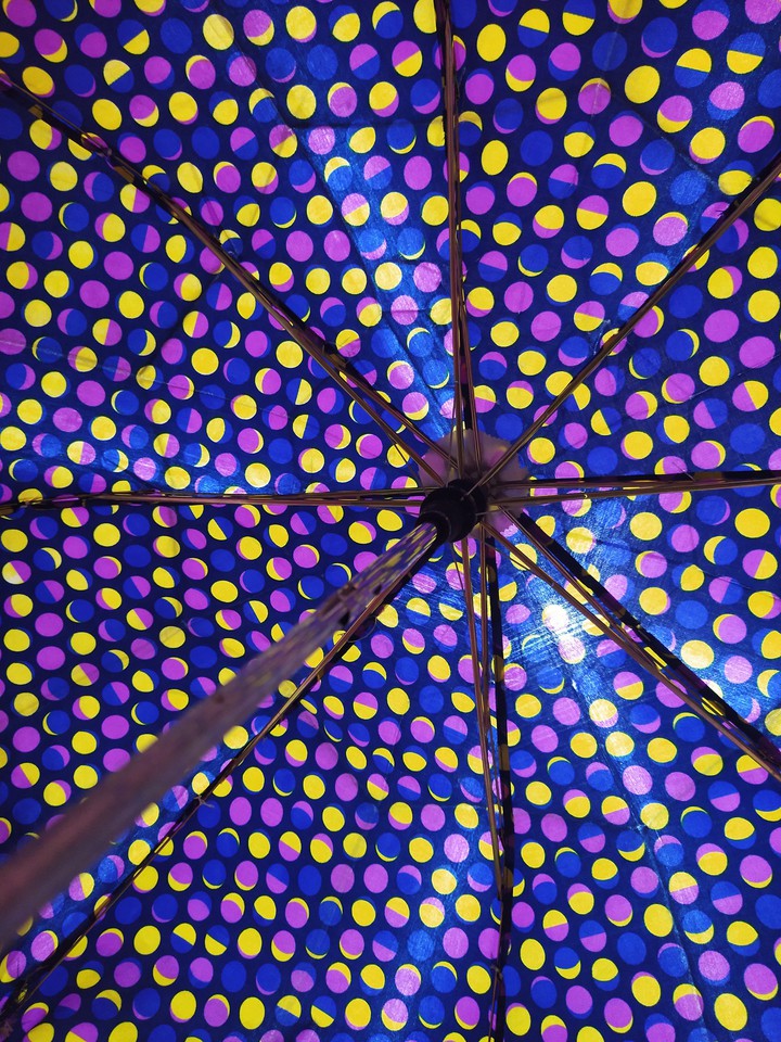 umbrella