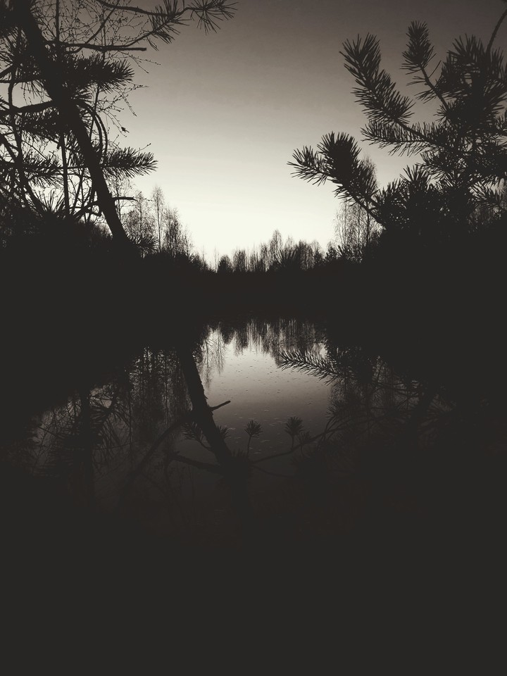 North Night