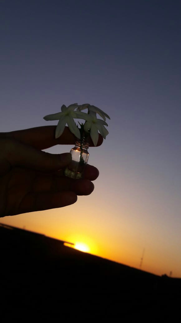 beautiful sunrise