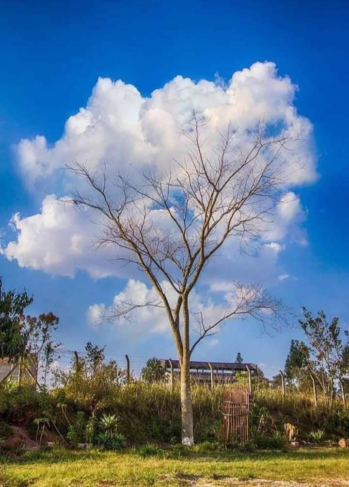 beautiful