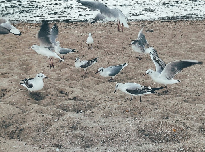 Beach
