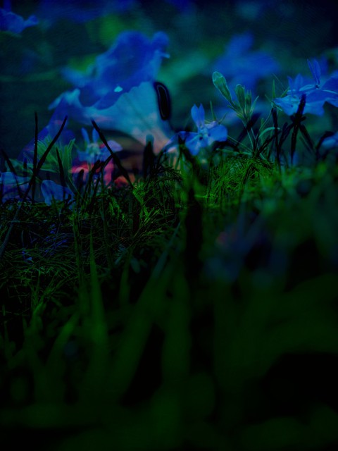 night