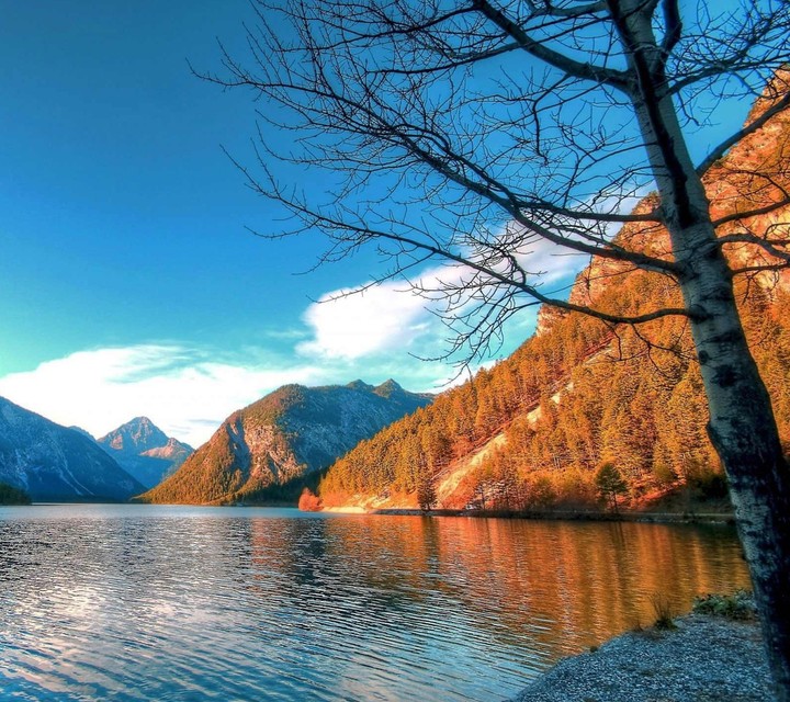 Landscape