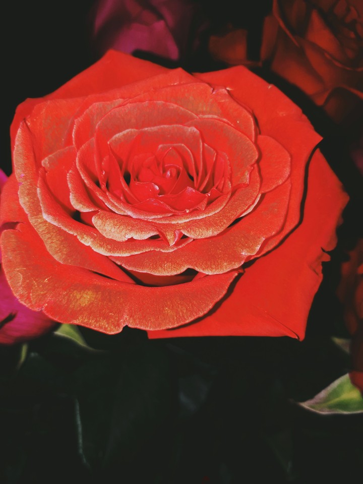 ⚘