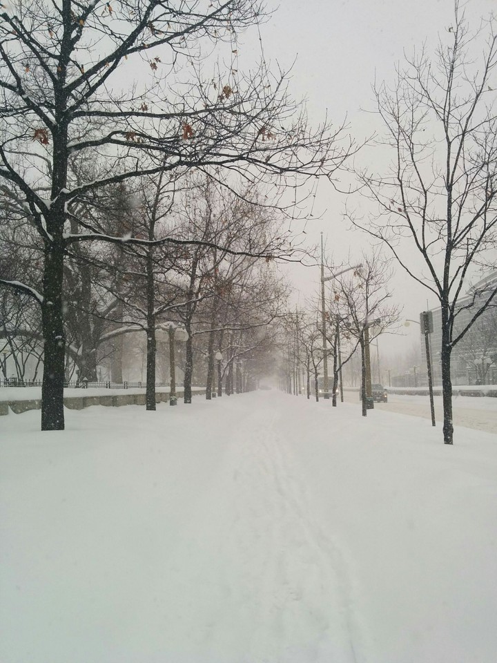 White Winter