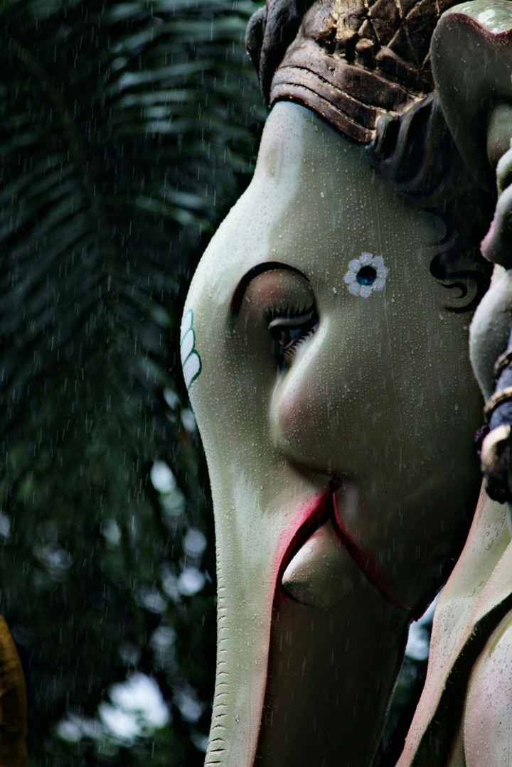 Ganpati♥