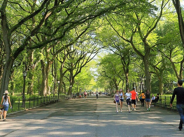 Go Green