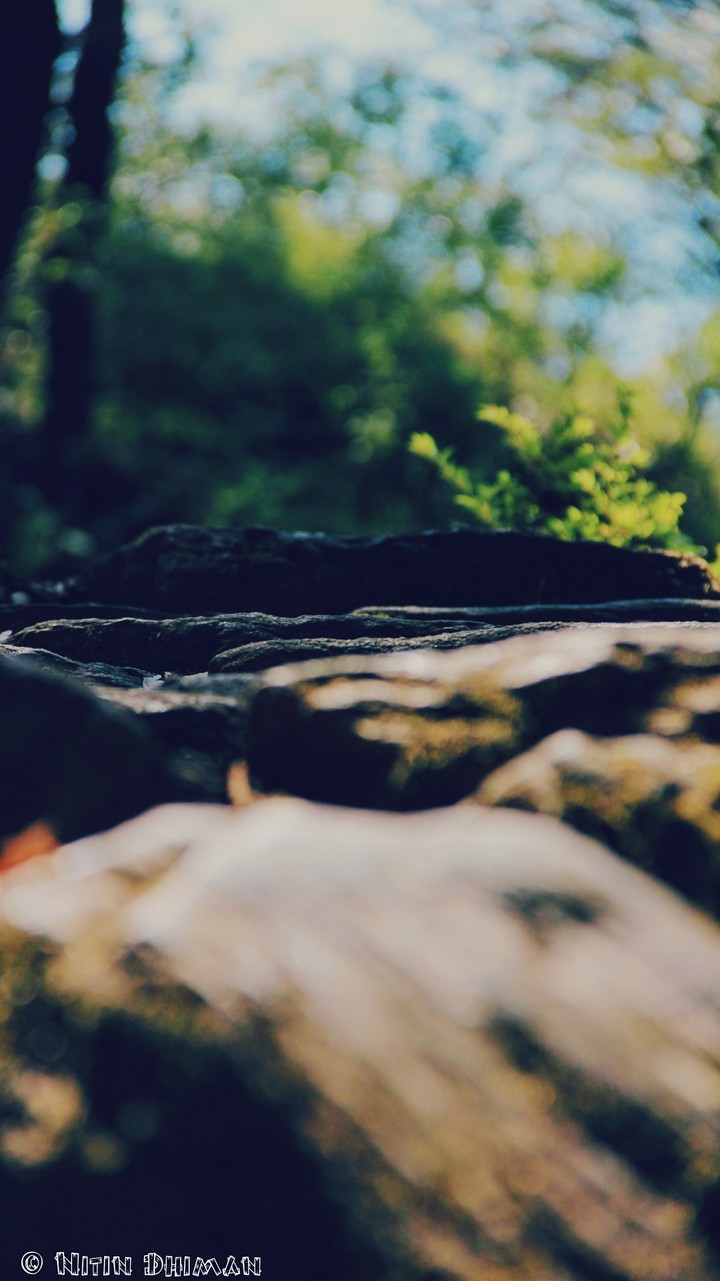 Nature