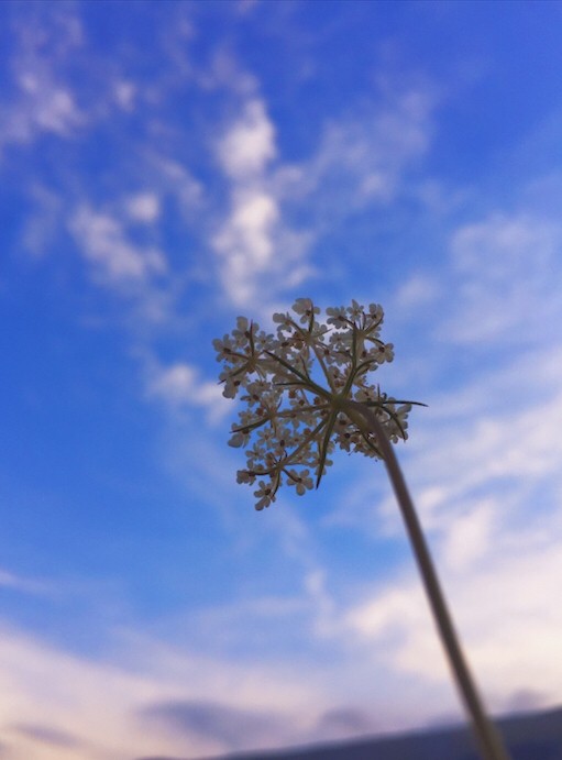 blue sky
