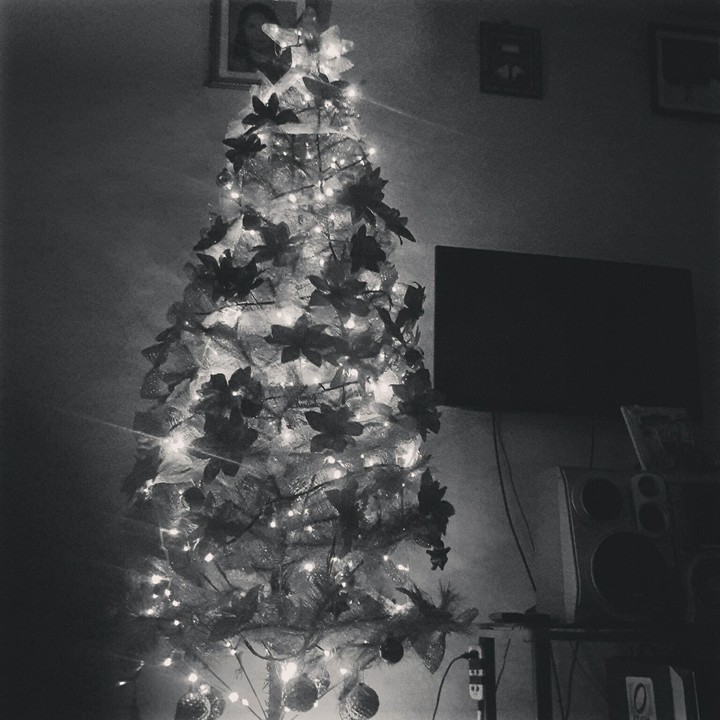 christmas tree