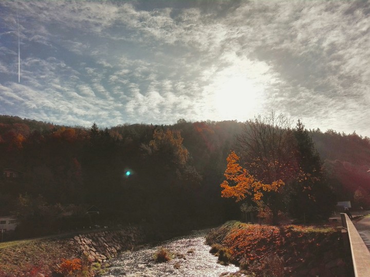 herbst
