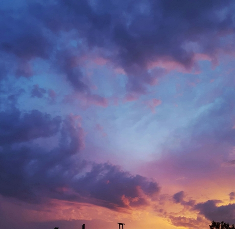 purple haze