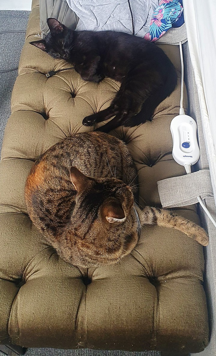 Jenny and Lucy