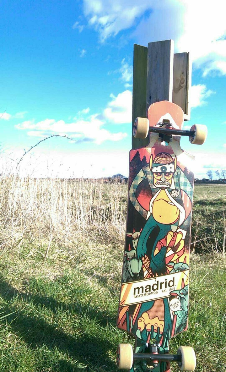 Loangboard 2k16