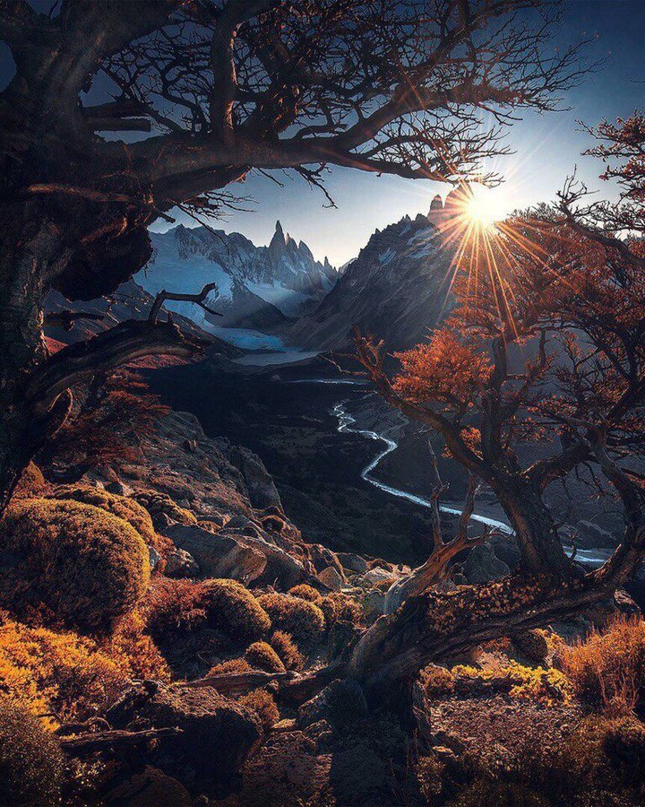 Nature