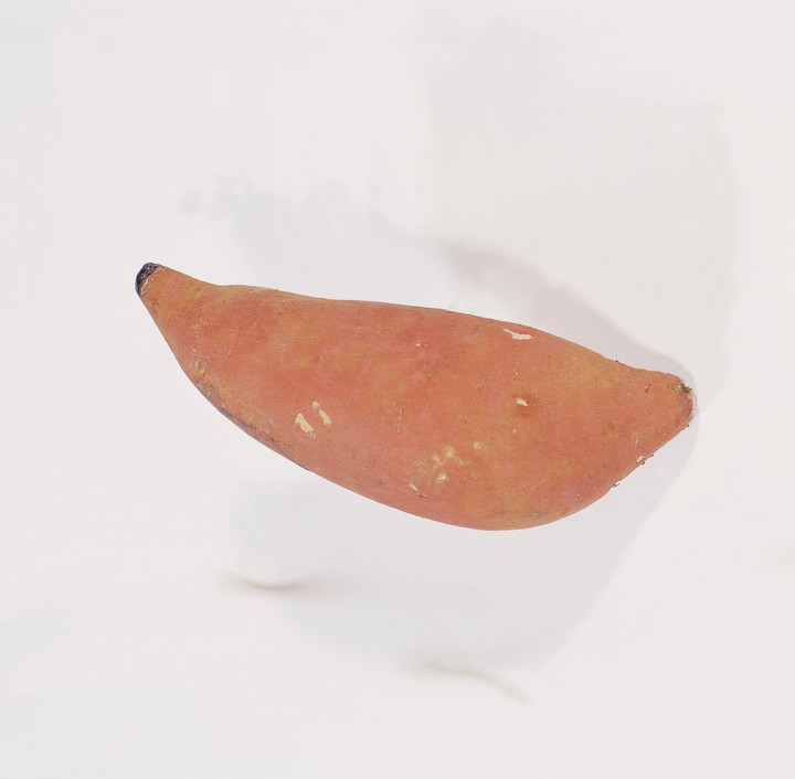 음식이미지