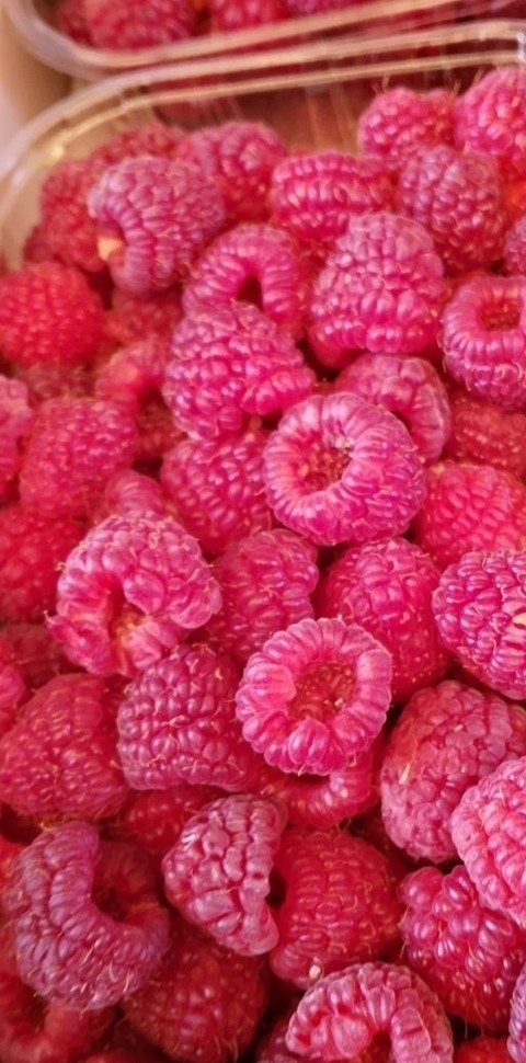 red, Raspberry Hintergrundbilder