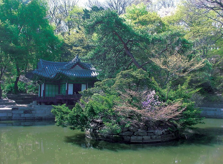 풍경이미지