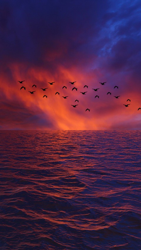beautiful sunset