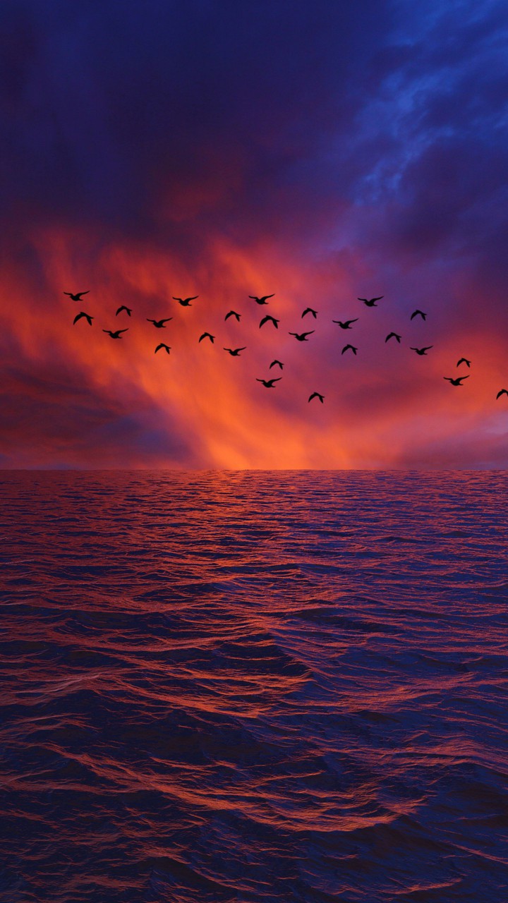 beautiful sunset