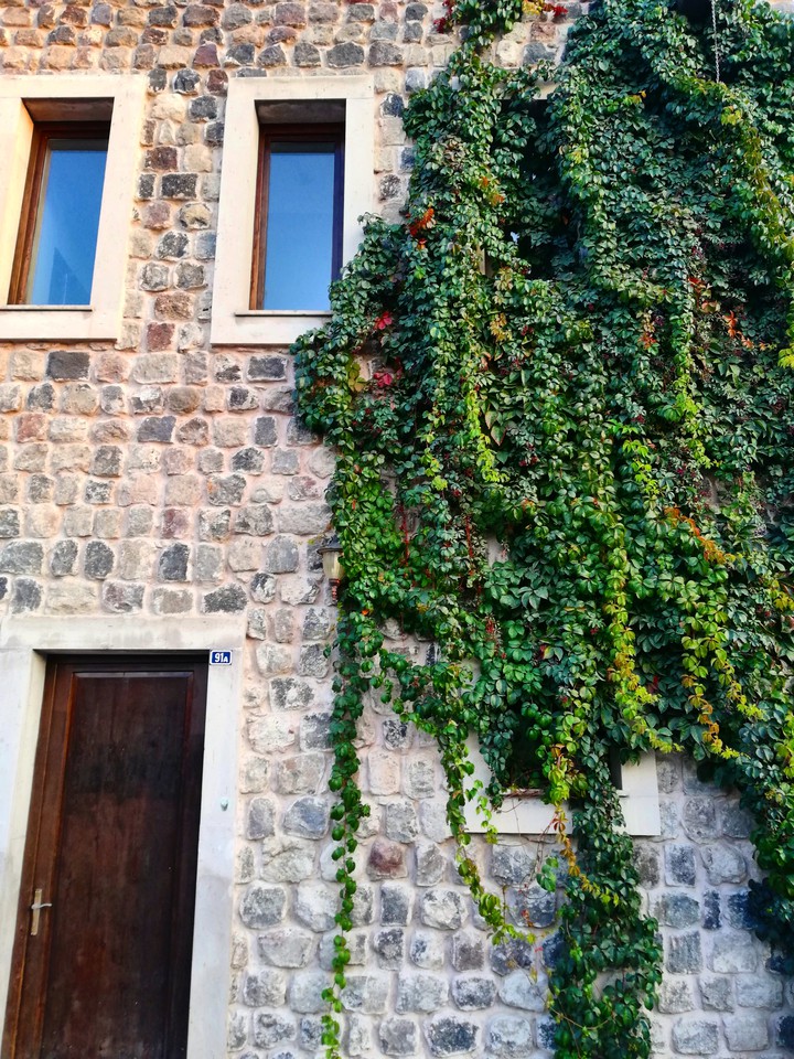 wall
