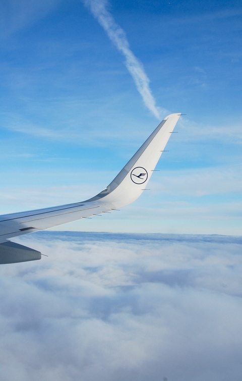 Above the clouds