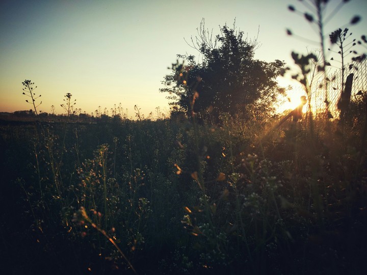 beautiful evening