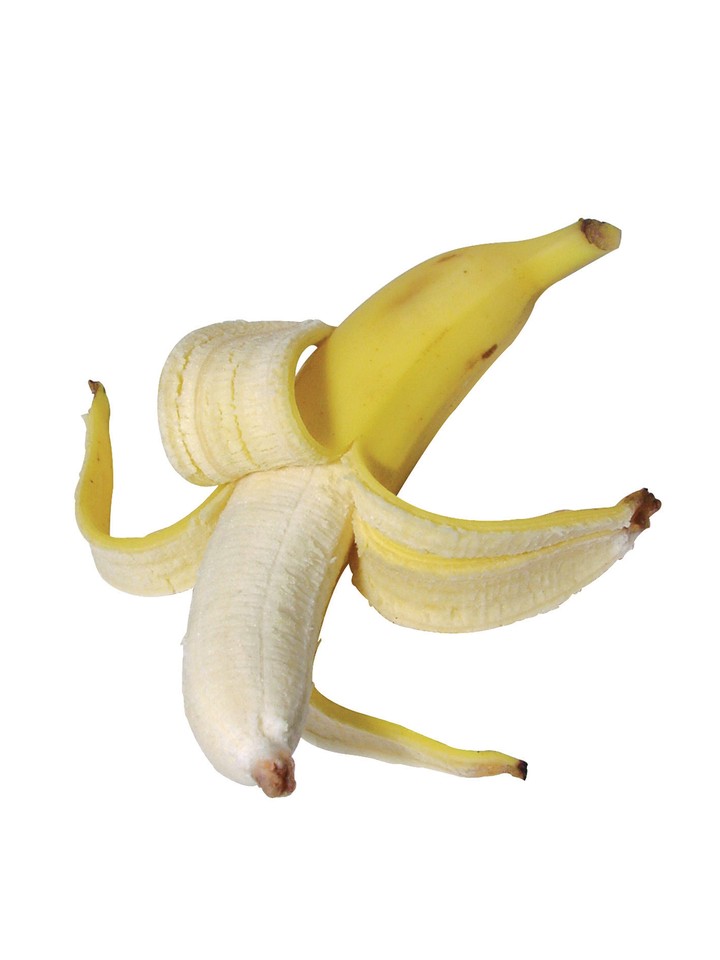 음식이미지