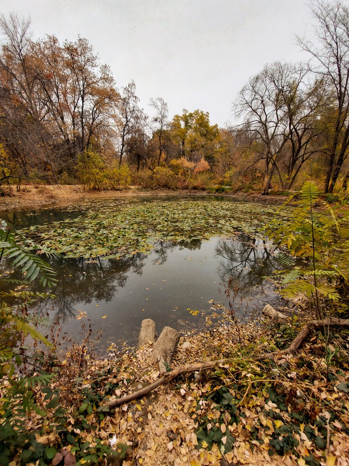 Lake