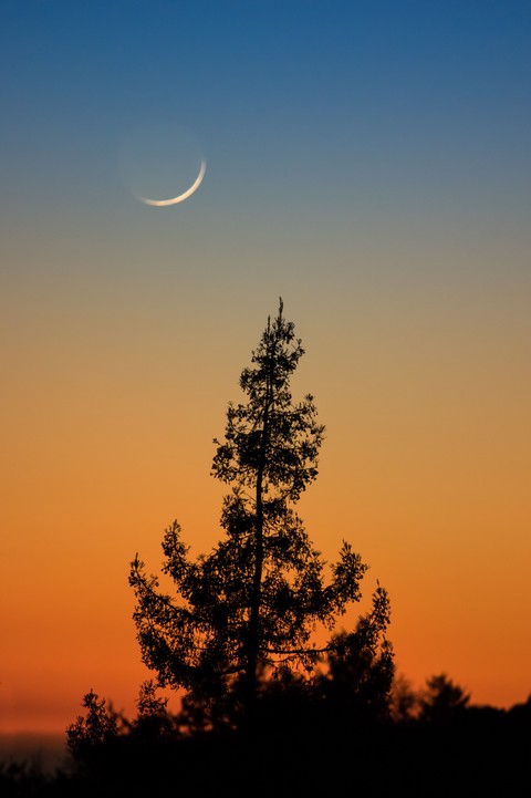 Cresent Moon