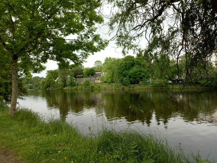 Bords de Vienne