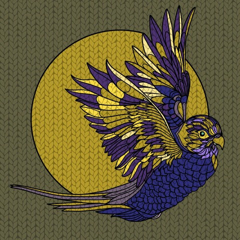 birds of the festrer