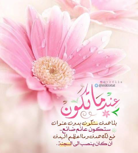 الحمدلله