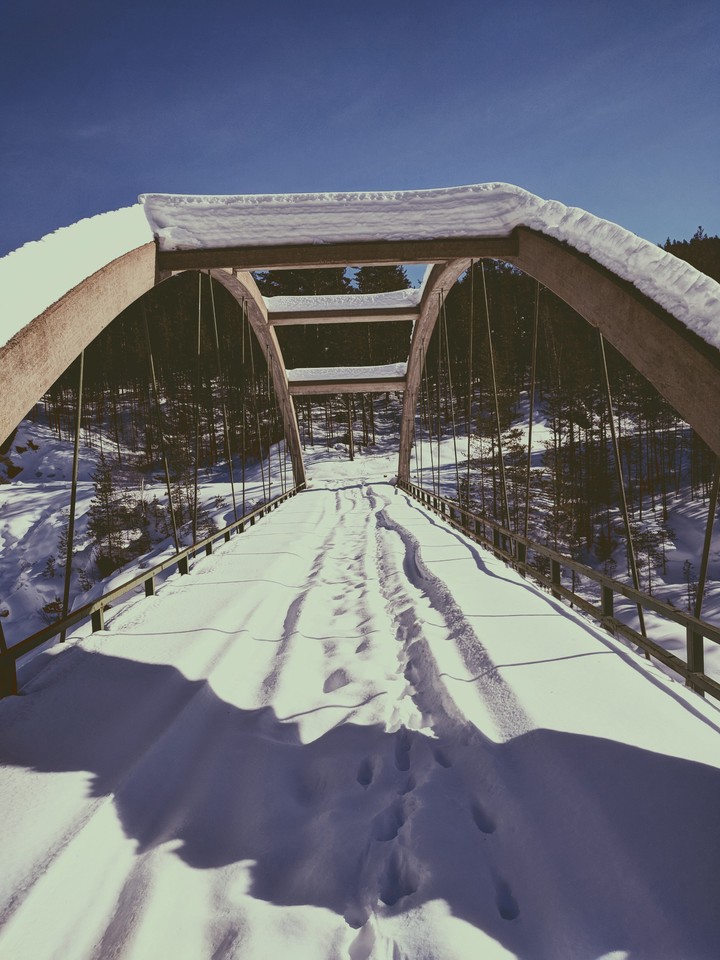Bridge