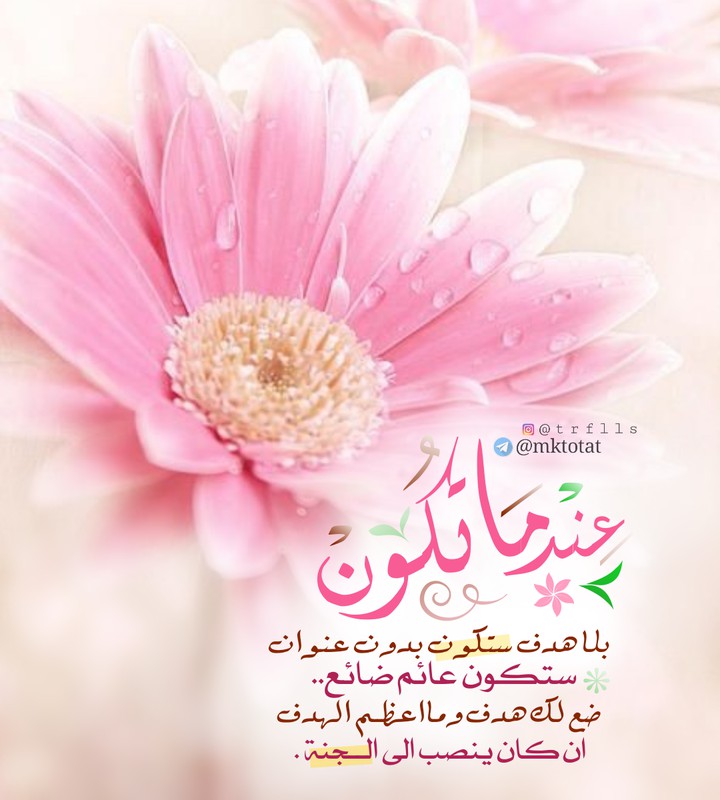 الحمدلله