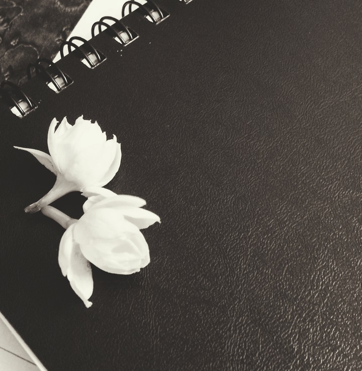 jasmine