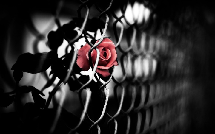 دنیا سرابی بیشتر نبود