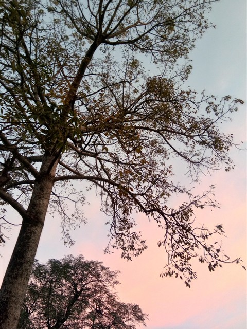light, lightrays वॉलपेपर