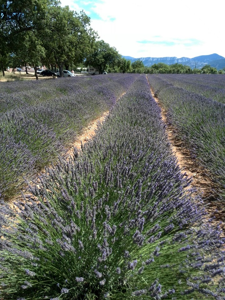 francja