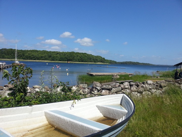 Swedish Island