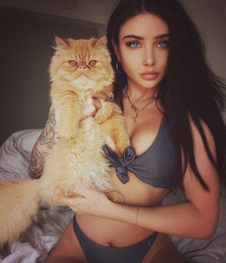 cat