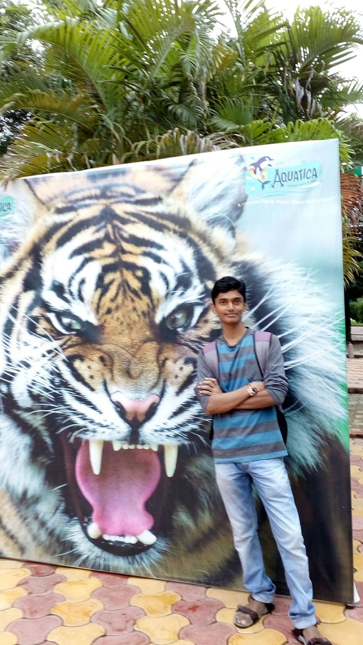 tiger