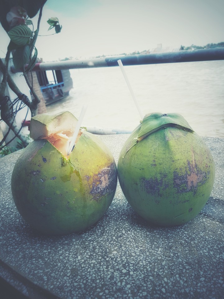 Coconut