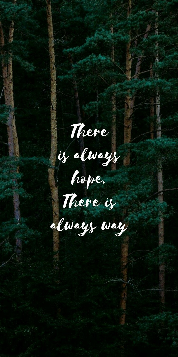 Quotes