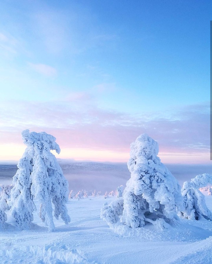 splendid landscape