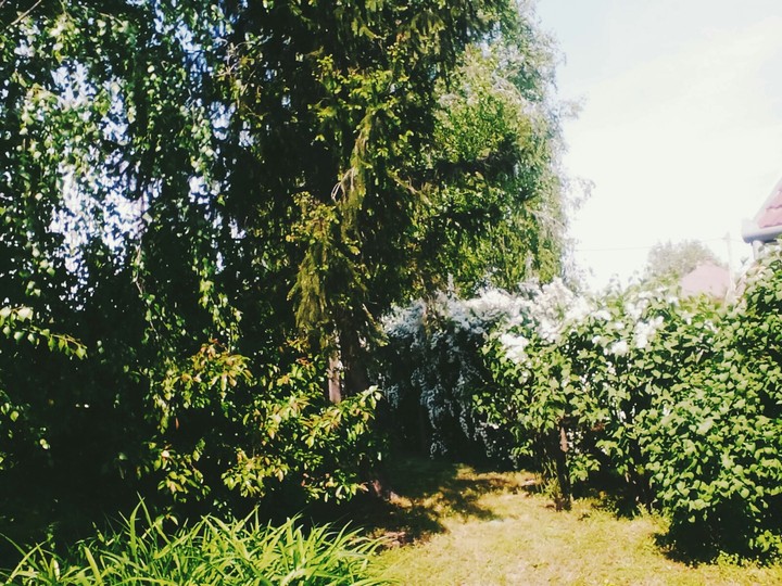 csodálkozást