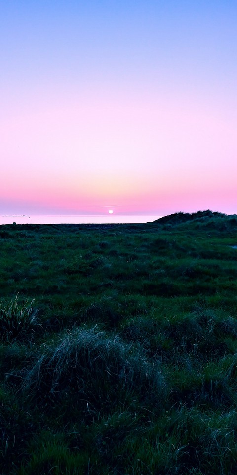 Purple hour