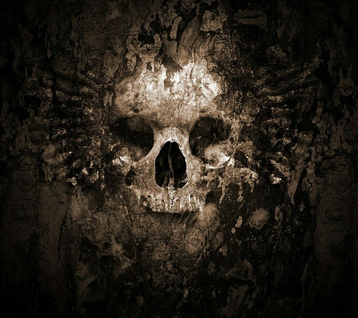 skull